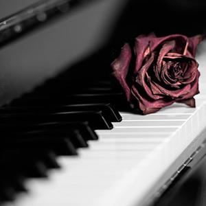 Picture for song 'Piano & Guitar love song' by artist 'WisperBeats'