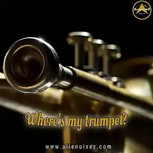 Picture for song 'Where's My Trumpet?' by artist 'Alienoisez Beats'