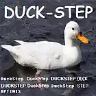 Picture for song 'Duck-step' by artist 'DJ Optimis'