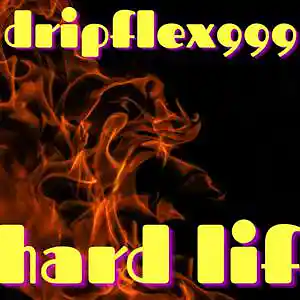 Picture for song 'Drip Flex - Hard Life' by artist 'dripped out members only'