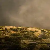 Picture for song 'Nose Tap (Chill)' by artist 'Hat Trick Beats'