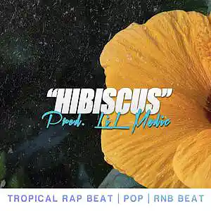 Picture for song ''Hibiscus' Smooth Type Beat x Khalid Type Beat' by artist 'LiL Medic Beats'