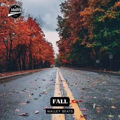 Picture for song 'FALL [COUNTRY RAP TYPE BEAT]' by artist 'Malley Beats'