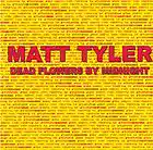 Picture for song 'Hollow (Midnight Mix)' by artist 'Matt Tyler'