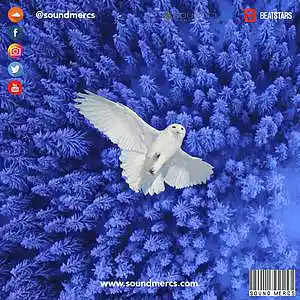 Song picture