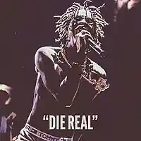 Picture for song 'NEW(Die Real)' by artist 'Yung Murk Beats'