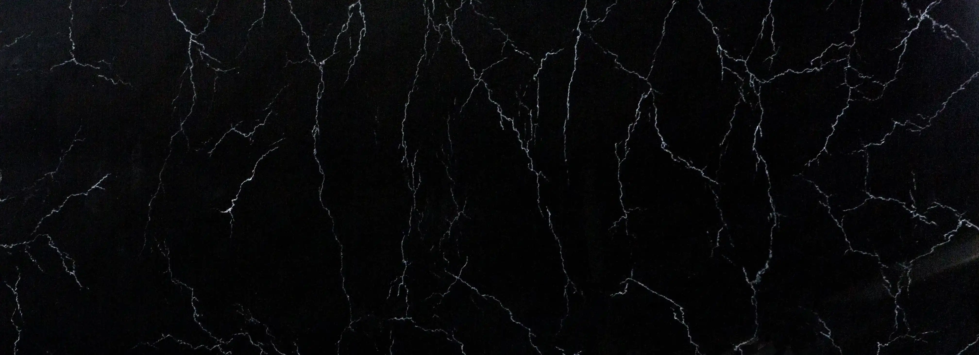 cover pic