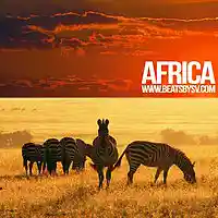 Picture for song 'Africa (SOLD)' by artist 'BeatsbySV'