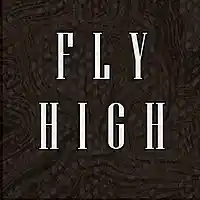 Picture for song 'Fly High' by artist 'Cherokuleas'