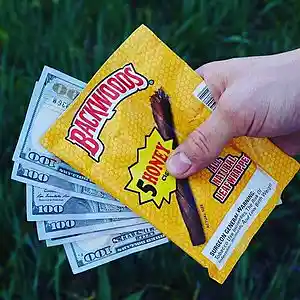 Picture for song 'BACKWOODS' by artist 'DRUGPLUG'