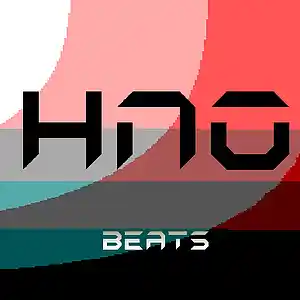 Picture for song 'FREE GUNNA TYPE BEAT "WHITE WRIST" HNO HIP HOP I' by artist 'HN09'