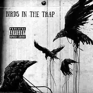 Picture for song 'Birds In The Trap' by artist 'KEVINBDOPE'
