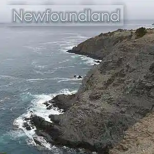 Picture for song 'Best Day' by artist 'Levi Deiter'