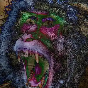 Picture for song 'Extravagance' by artist 'meglodave'