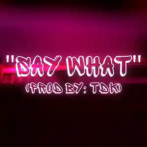 Picture for song 'SAY WHAT (BOOM BAP) OLD SCHOOL (B BOY)' by artist 'TDK'