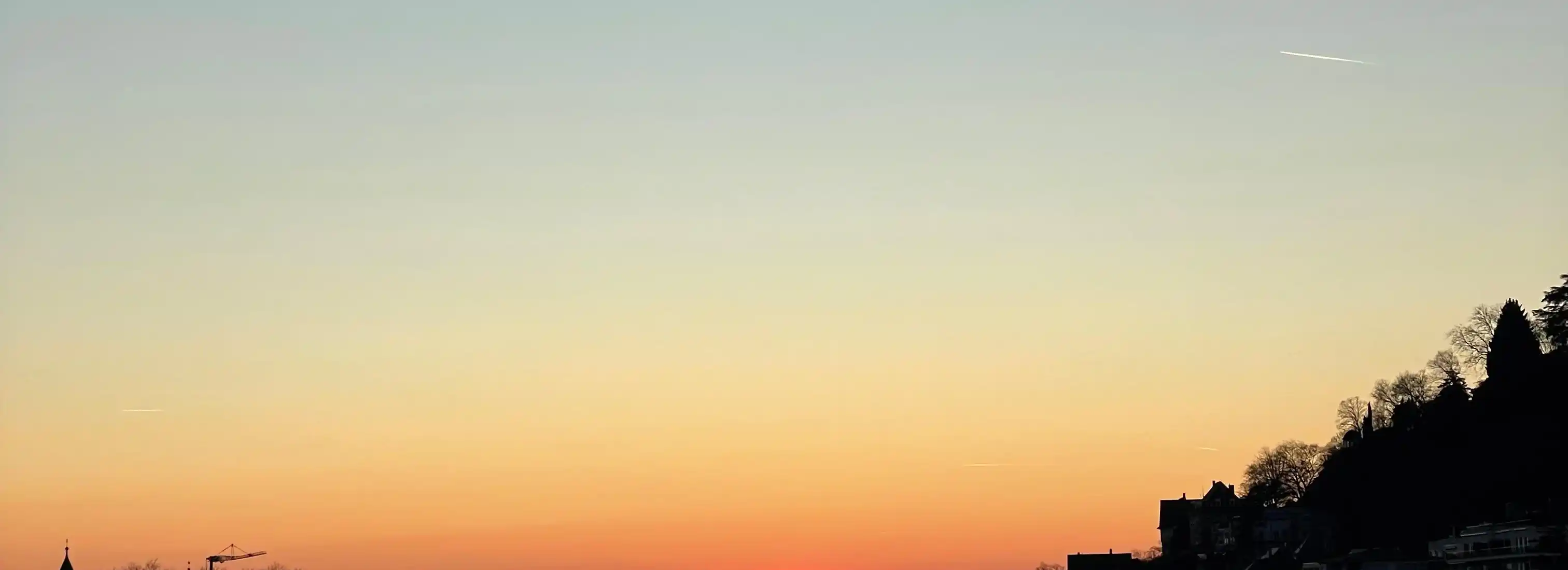 cover pic