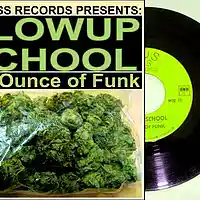 Picture for song 'FAT OUNCE OF FUNK' by artist 'BLOWUP SCHOOL'