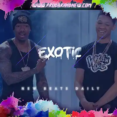 Picture for song 'Exotic' by artist 'Brandnew Beats'