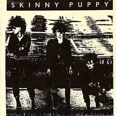 Picture for song '"LOCKED IN A COMPUTER"SKINNY PUPPY INDUSTRIAL BEAT' by artist 'DevilleProducer'