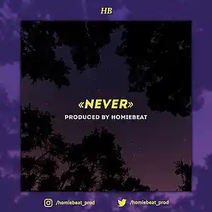 Picture for song 'Never' by artist 'Homiebeat'