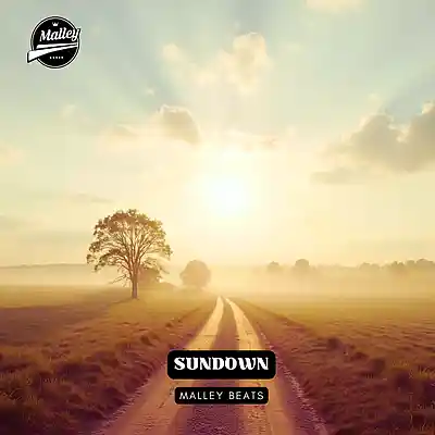Picture for song 'SUNDOWN [COUNTRY RAP TYPE BEAT]' by artist 'Malley Beats'