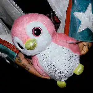 Picture for song 'penguin (prod. by milO & PHORMANTHA)' by artist 'milOoo'