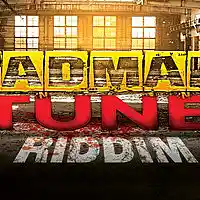 Picture for song 'Badman Tune Riddim - Vybz Kartel Dancehall Type' by artist 'OGE BEATS'