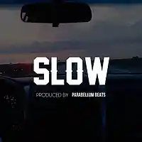 Picture for song 'Slow' by artist 'Parabellum Beats'