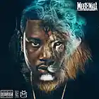 Picture for song 'I'm Eatin' - 2014 BEATS (MEEK MILL, MMG, ROSS)' by artist 'ProducedByTSavage'
