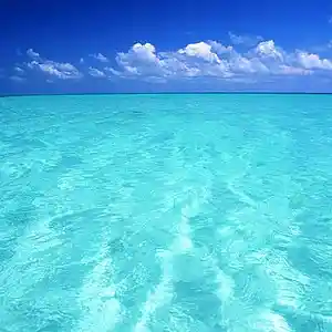 Picture for song 'blue ocean (BUY 1 GET 1 FREE)' by artist 'ATOM BEATS'
