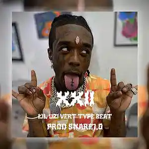 Picture for song 'XXII' by artist 'SNARE1.0'