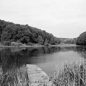 Picture for song 'Smoke Cloud *Free DL* (Lil Peep Type Beat)' by artist 'TiamatBeats'