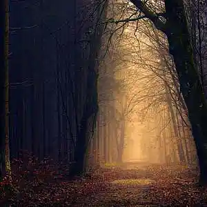 Picture for song 'Autumn Etude' by artist 'Vladislav Gornak'