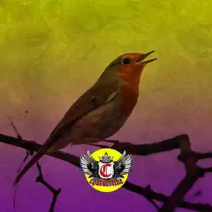 Picture for song 'WARBLER (Summer Walker PnB Rock Type Beat)' by artist 'Chorderline'