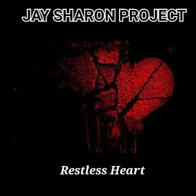 Picture for song 'Coming Home' by artist 'Jay Sharon Project'