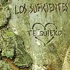 Picture for song 'Te quiero' by artist 'LOS SUFICIENTES'