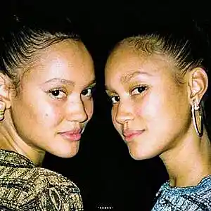 Picture for song 'Twins' by artist 'pandamusic'