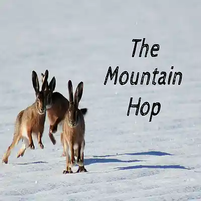 Picture for song 'The Mountain Hop' by artist 'Sean Ferree'