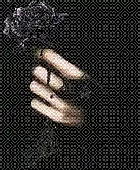 cover pic