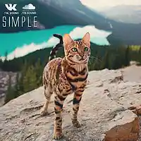 Picture for song 'SIMPLE' by artist '1N SOUND'