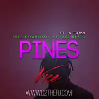 Picture for song '*DOPE* Pines Ft. A-Town / https://www.d2therj.com' by artist 'D2theRJ'