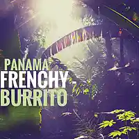 Picture for song 'Panama (2001)' by artist 'Frenchy Burrito And The Folk Pistols'