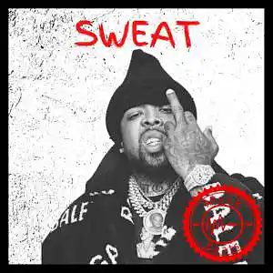 Picture for song 'Sweat (120 BPM)' by artist 'Maskbeats1591'