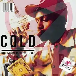 Picture for song 'Cold' by artist 'Precise Beatz'