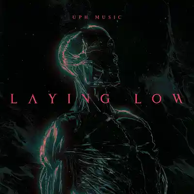 Picture for song 'Laying Low Epic Cinematic Drill Pop' by artist 'UPH Music'