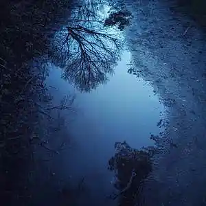 Picture for song '"Puddle" Dark Type Beat for Sale' by artist 'whoDeanyBeatz'