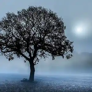 Picture for song 'Fall asleep' by artist 'YCDI'