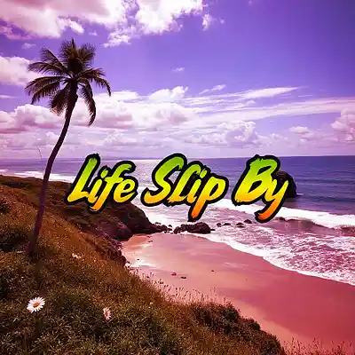 Picture for song 'Life Slip By' by artist 'Anac On The Beat'
