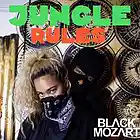 Picture for song 'Jungle Rules' by artist 'BLVCKMOZART'