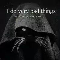 Picture for song 'The Ride' by artist 'BOOOM TOWN'